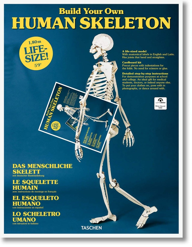 Build Your Own Human Skeleton 1.80m - Tetralingüe | AA. VV.