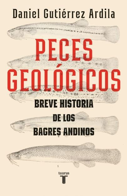 Peces Geológicos | Daniel Gutierrez