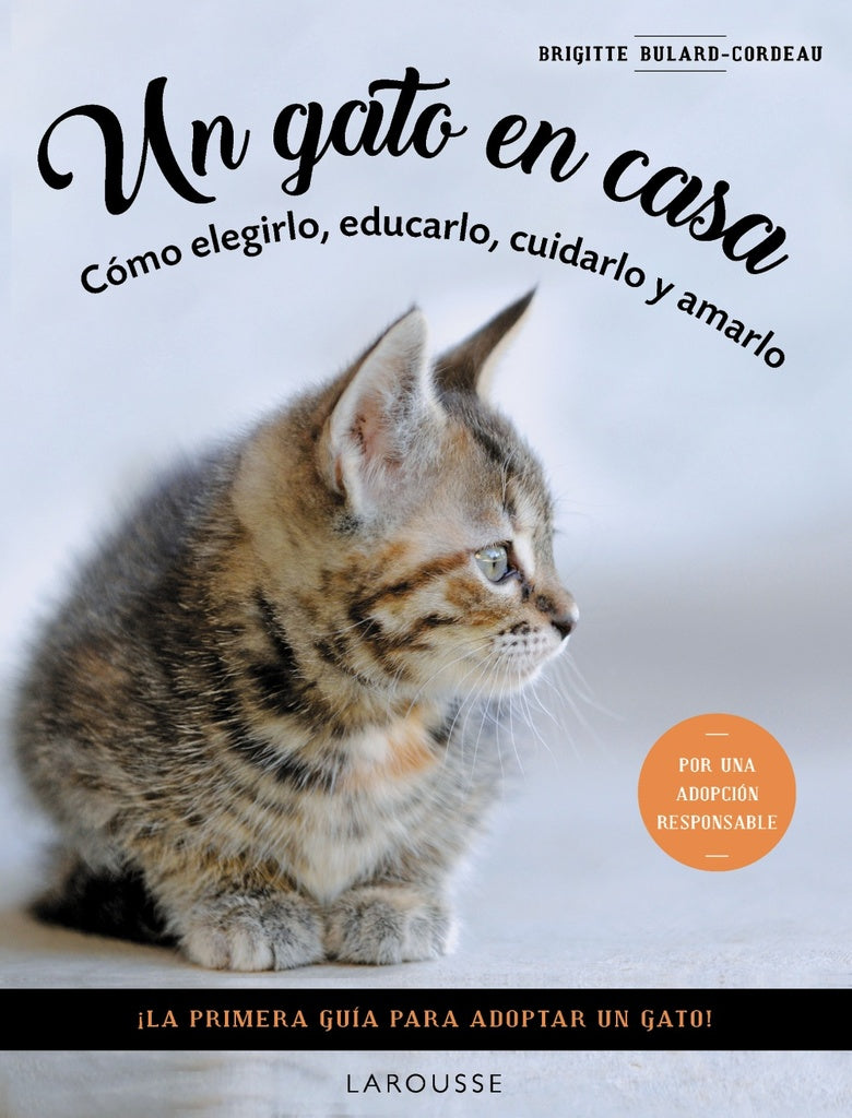 Un gato en casa | AA. VV.