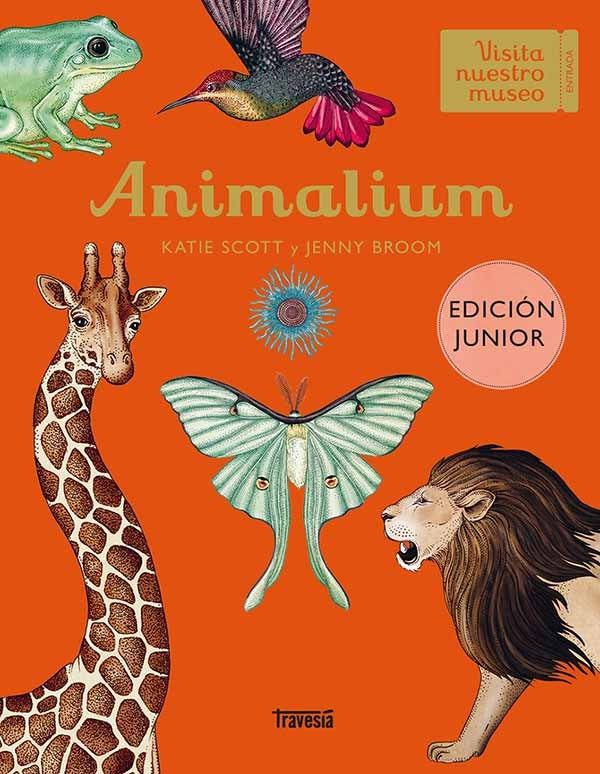 Animalium Junior Edition | Katie Scott