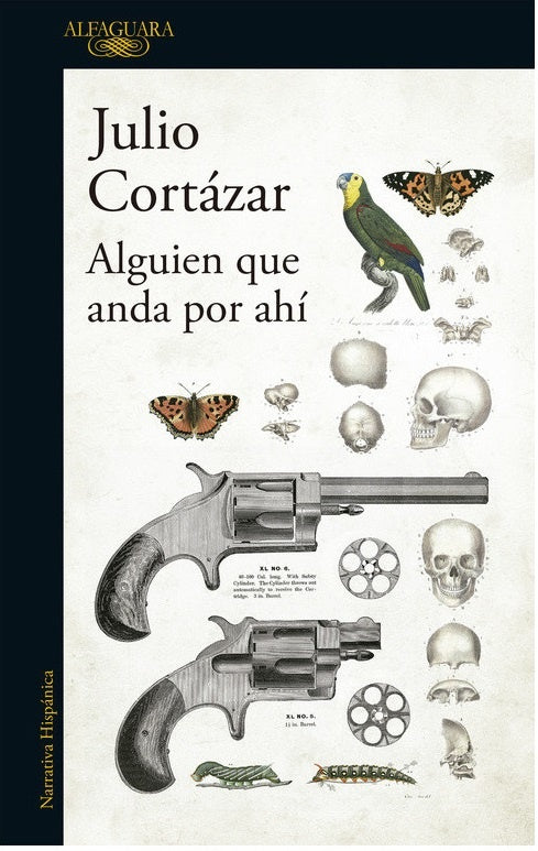Alguien Anda Por Ahí | Julio Florencio Cortázar