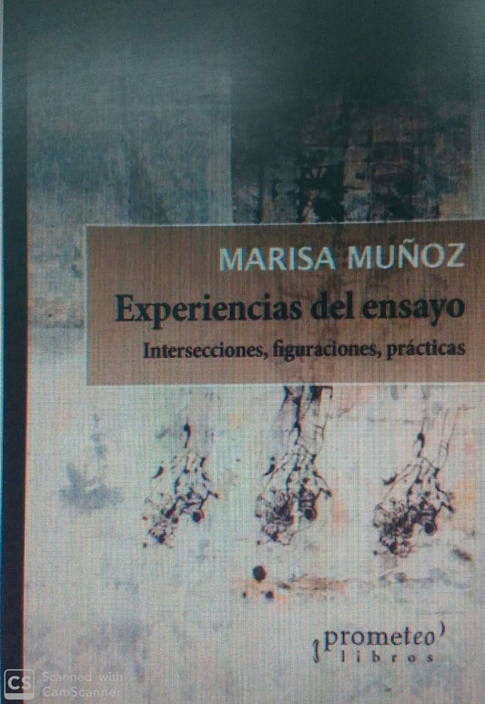 Experiencias Del Ensayo. Intersecciones, Figuraciones, Practicas | Marisa Muñoz