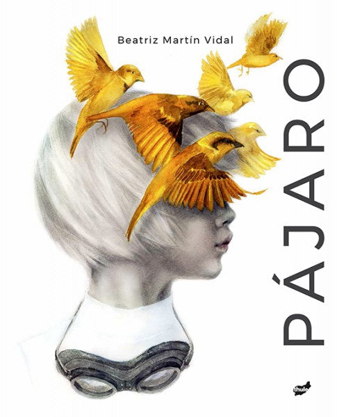 Pájaro | Beatriz Martín Vidal