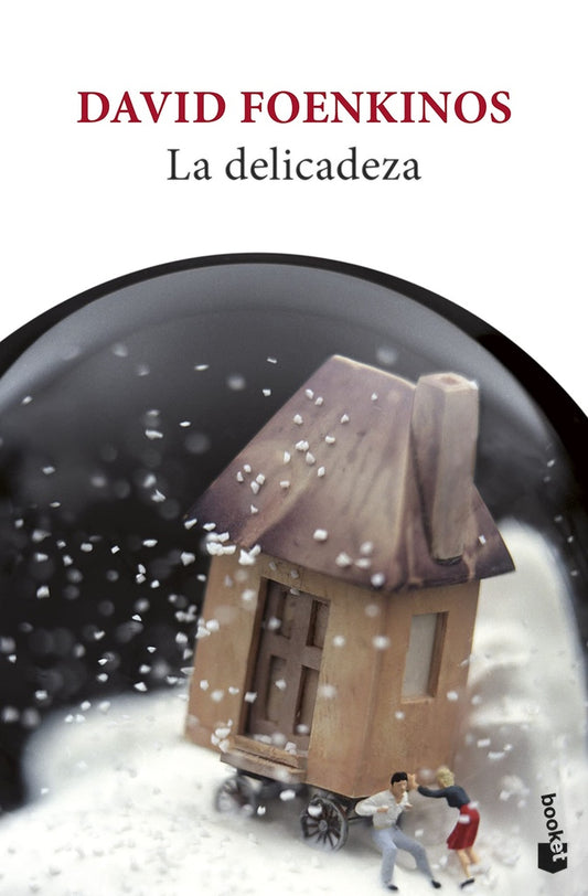 La Delicadeza | David Foenkinos