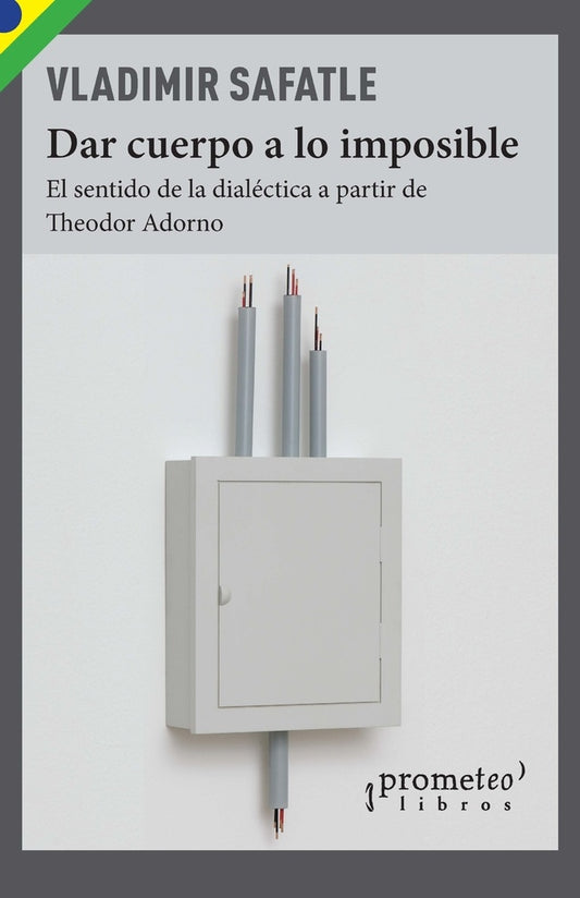 Dar Cuerpo A Lo Imposible; El Sentido De La Dialectica A Partir De Adorno | Vladimir Safatle