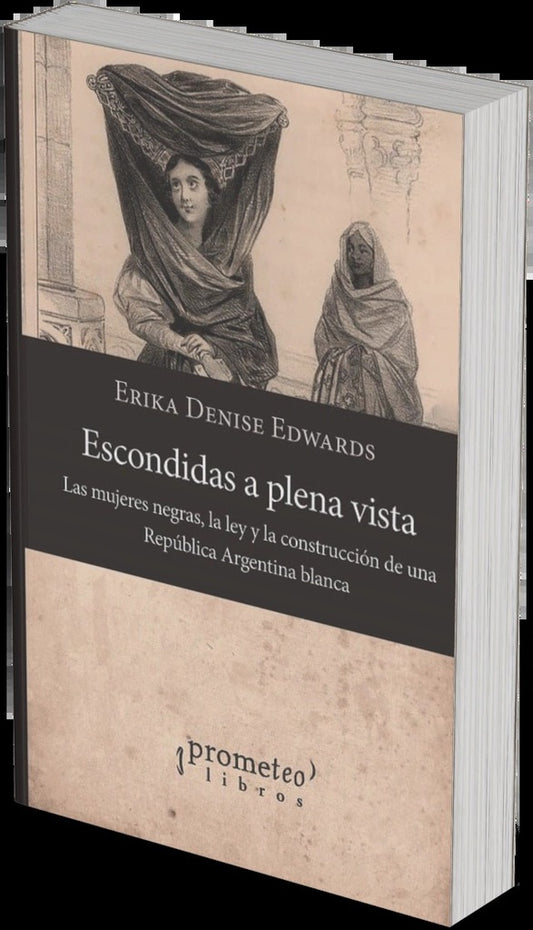 Escondidas A Plena Vista. Las Mujeres Negras, La Ley Y La Construccion De Argentina Blanca | Erika Denise Edwards