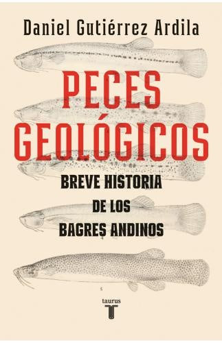 Peces  Geológicos | Daniel Gutierrez