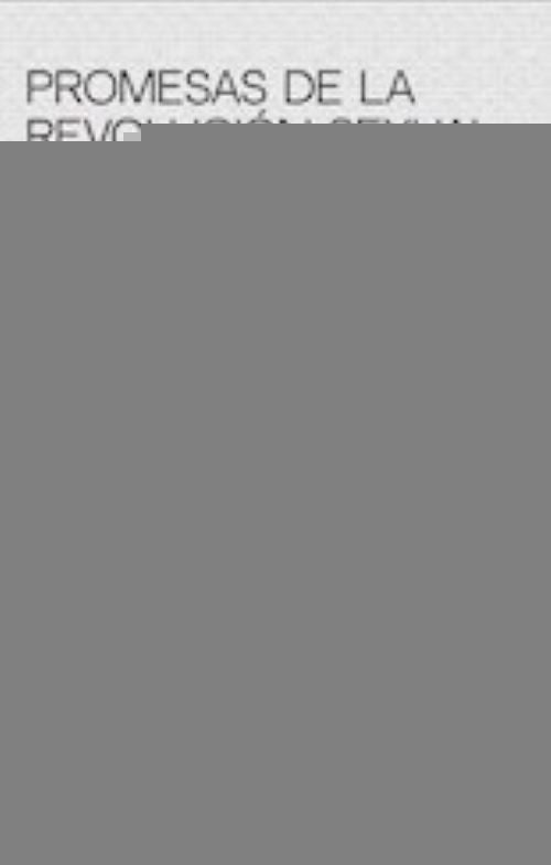 Promesas De La Revolucion Sexual. Mercado Del Sexo Y Del Amor En Tiempos Feministas | Felitti, Mariana