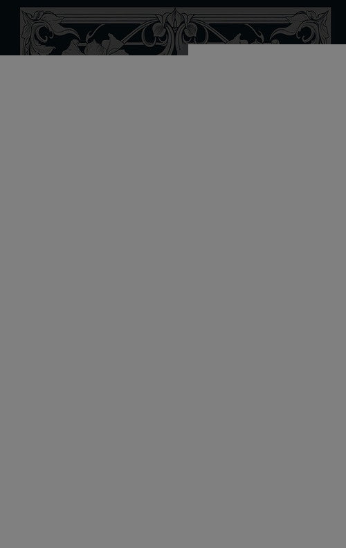 Crisalida | Fernando Navarro