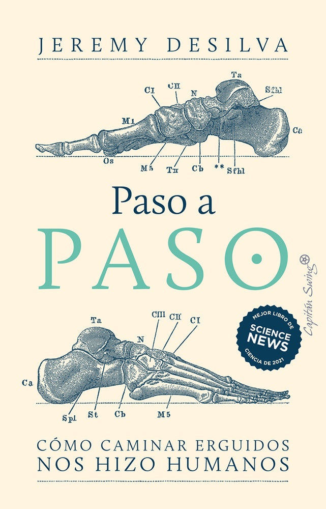 Paso a paso | Jeremy  De Silva