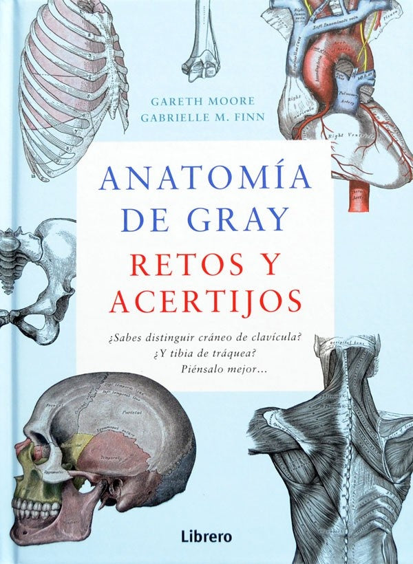 Anatomia de Grey