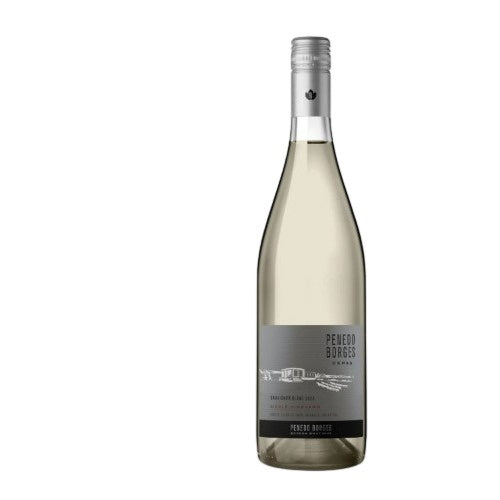 Cepas | Bodegas Pinedo Borges | Vino Blanco | Lujan de Cuyo | Argentina | Suavignon Blanc