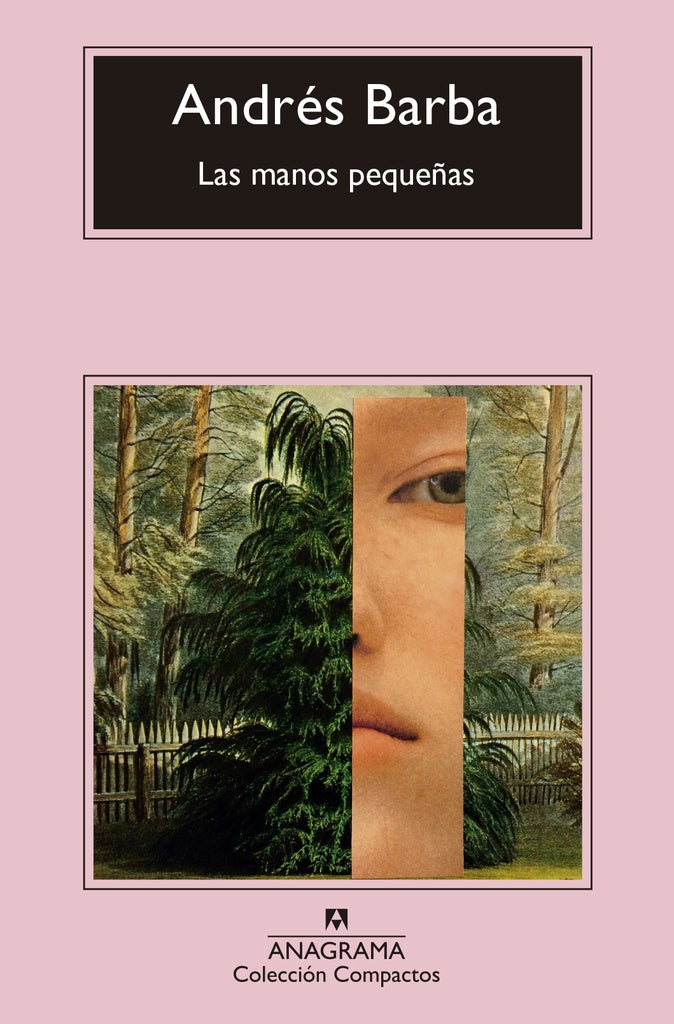 Las manos pequeñas | andres barba