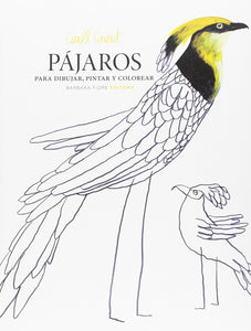 Pájaros para Dibujar, Pintar y Colorear | Carll Cneut