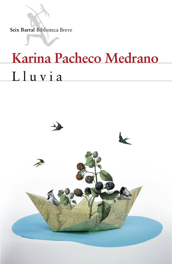 Lluvia | Karina Pacheco Medrano