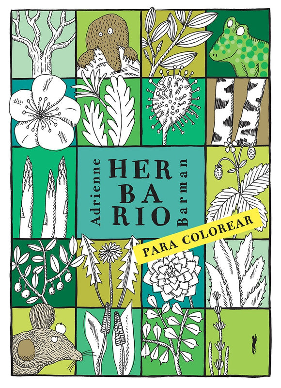 Herbario para colorear | Adrienne Barman