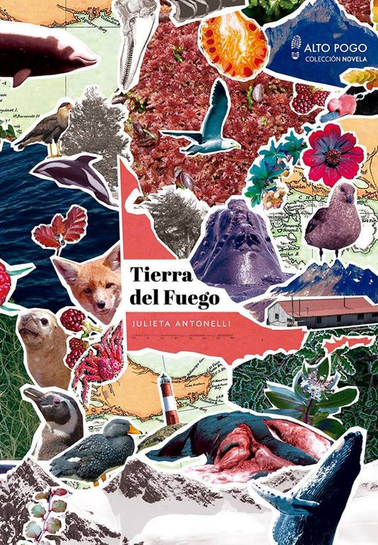 Tierra del Fuego | Julieta Antonelli