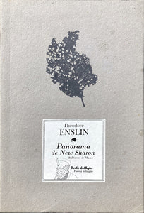 Panorama de New Sharon & Diarios de Maine | Theodore Enslin